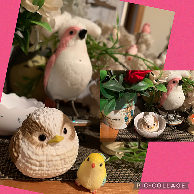 Aqettyさんの部屋