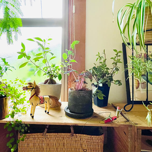 kaochiさんの部屋