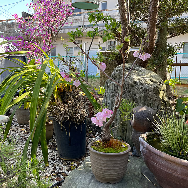 shin0719さんの部屋