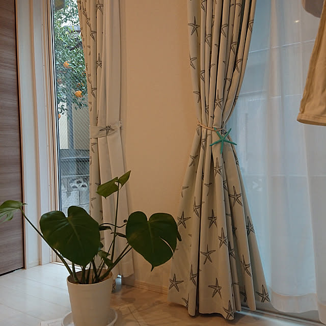 803633macoyaさんの実例写真