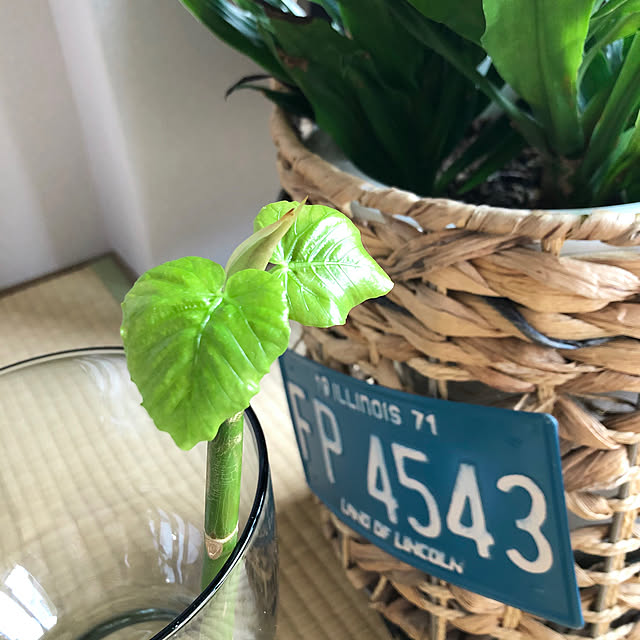 momoさんの実例写真