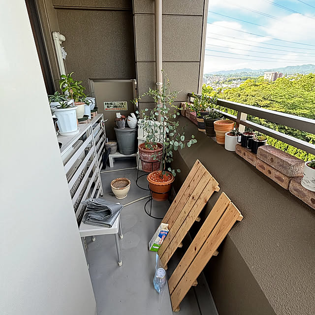 koshiregutyoさんの部屋