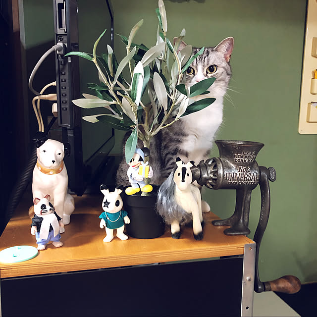 Shojiさんの実例写真