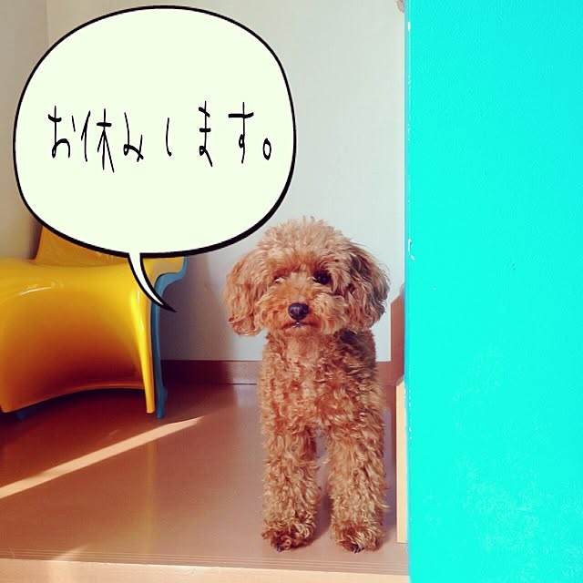 popさんの実例写真