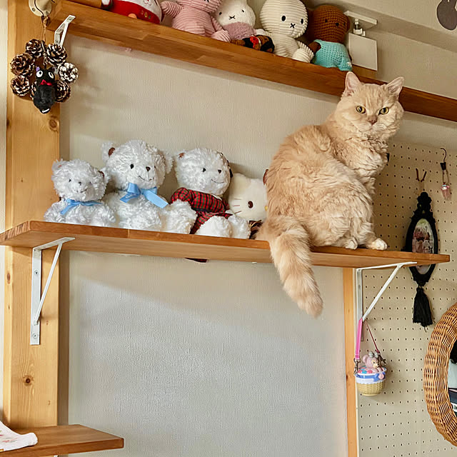 naokoさんの部屋