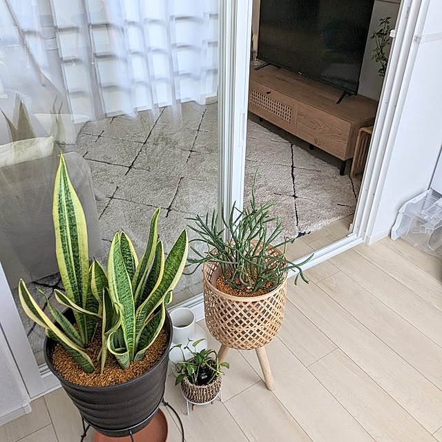 kumiさんの部屋