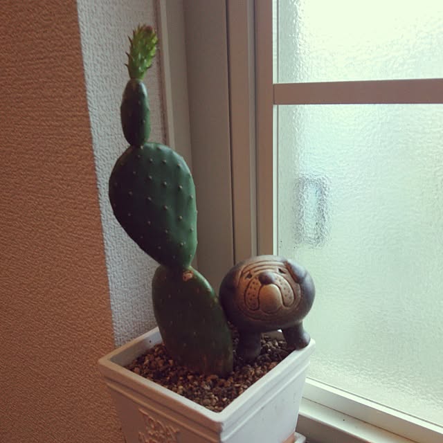 maitakekoさんの実例写真