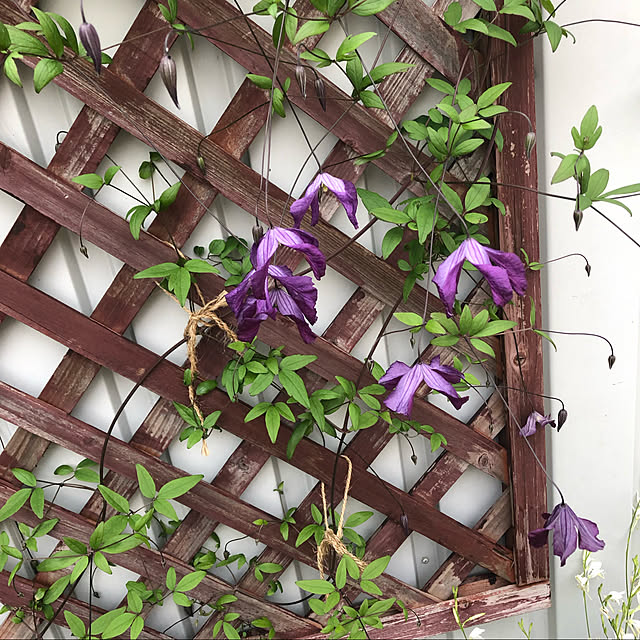 anna1991227さんの実例写真