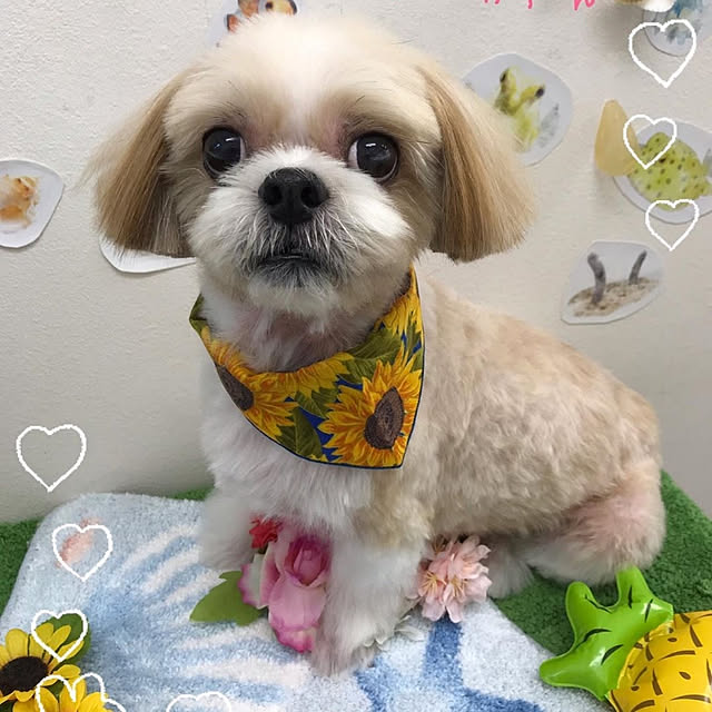 ronさんの実例写真