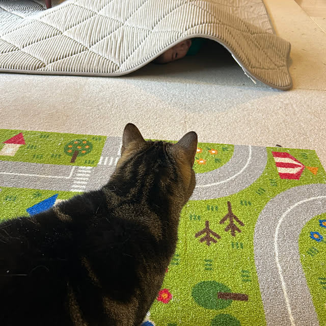 mikomaruさんの実例写真