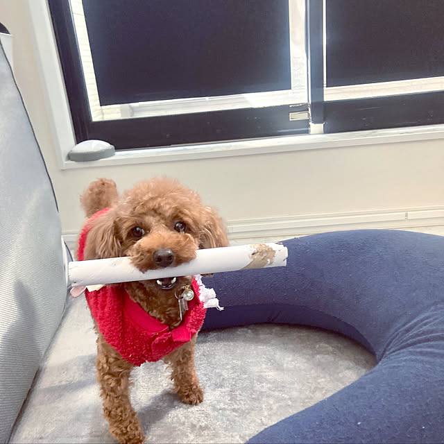 MOMOMAMAさんの実例写真
