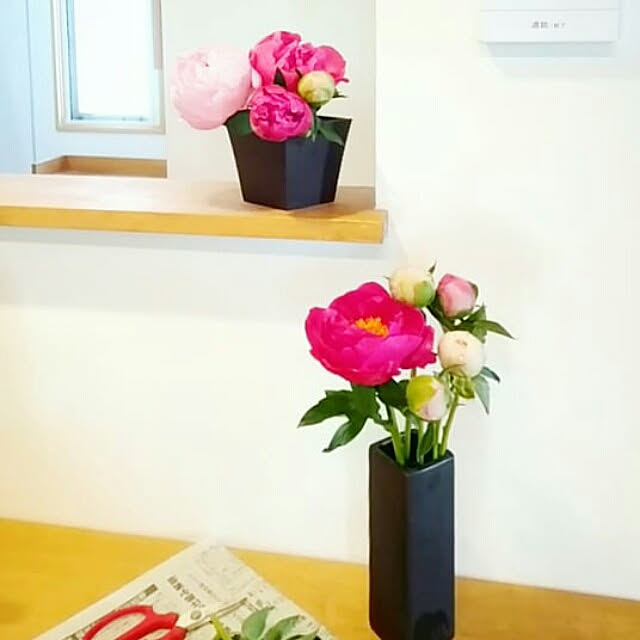 momo.smzさんの実例写真