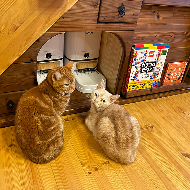 Let-s-DoDoDoさんの実例写真