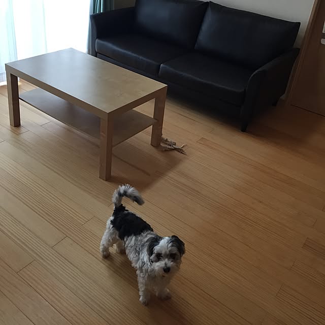 tontonさんの実例写真