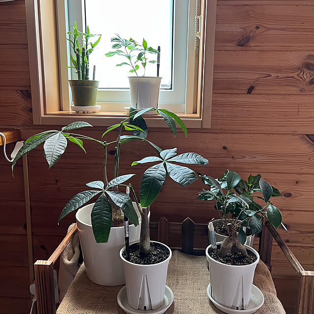 mogumoguさんの部屋