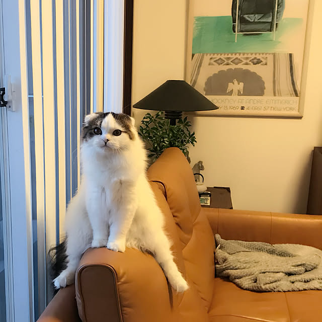 m.さんの実例写真