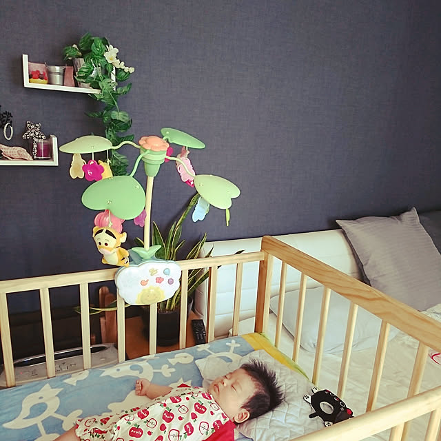 naphooさんの実例写真