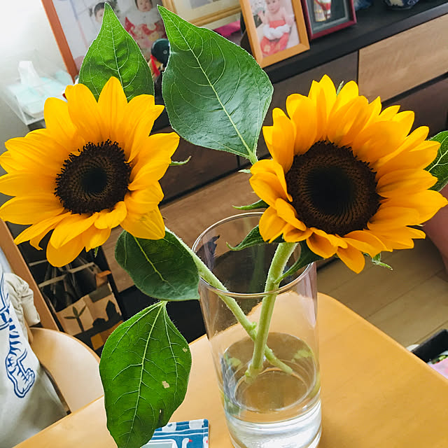 hanekeikoさんの実例写真
