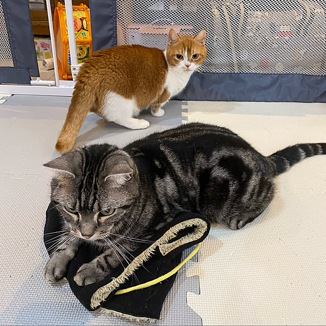 KotarouKunさんの実例写真