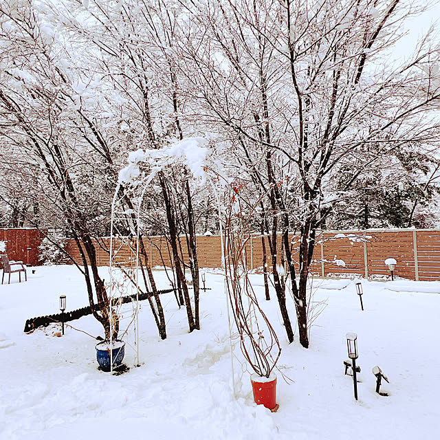 chanduさんの部屋