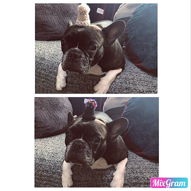 pecoさんの実例写真