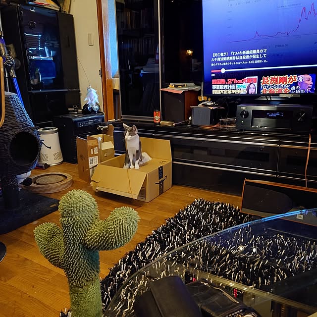 実例写真