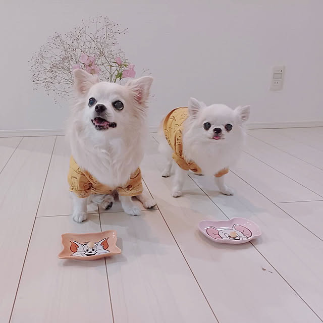 Mihocoさんの実例写真