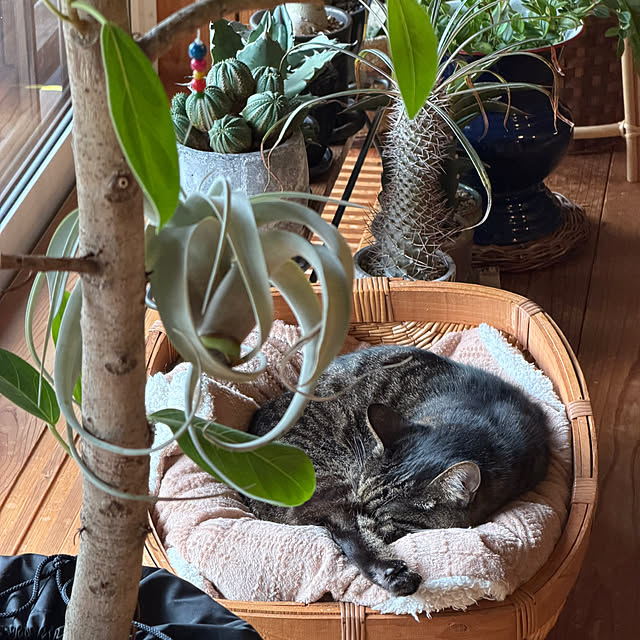 onsix777さんの部屋