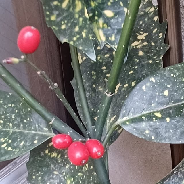 hiro.904さんの部屋