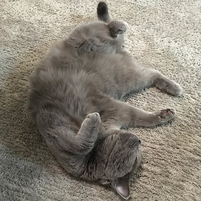 fionaさんの実例写真