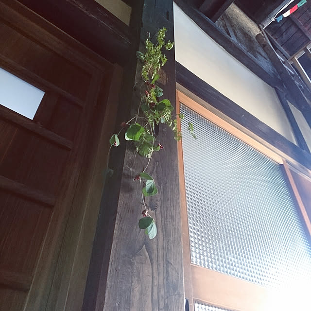 chaさんの実例写真