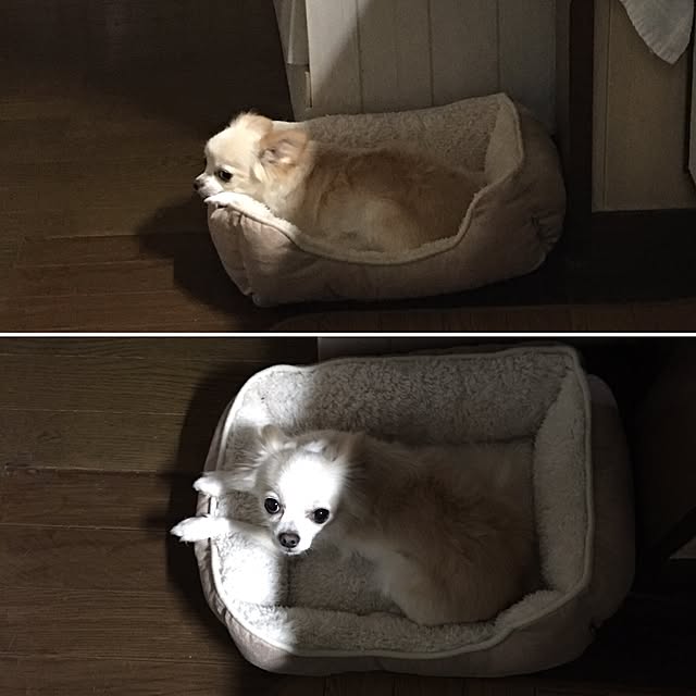 k.n.d.a.h.aさんの実例写真
