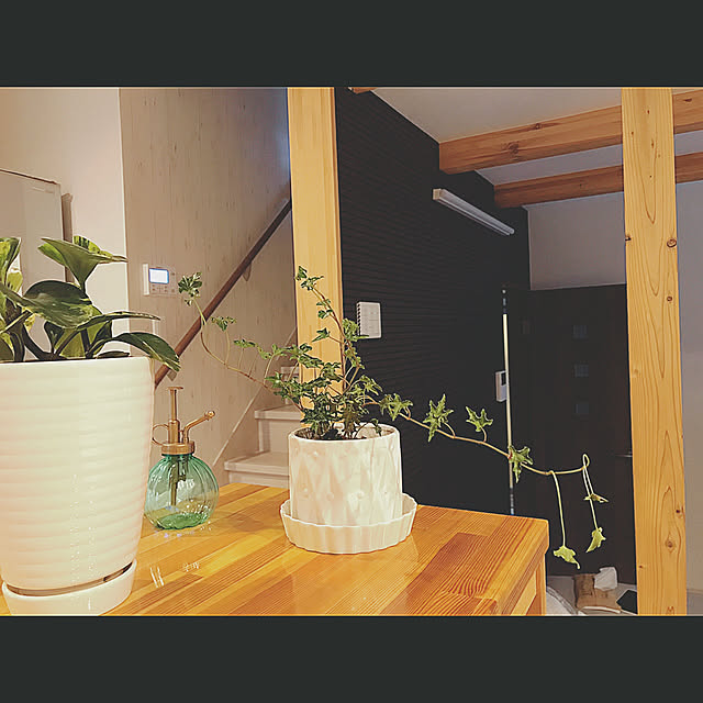 sayさんの実例写真
