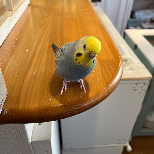 Atsukoさんの部屋