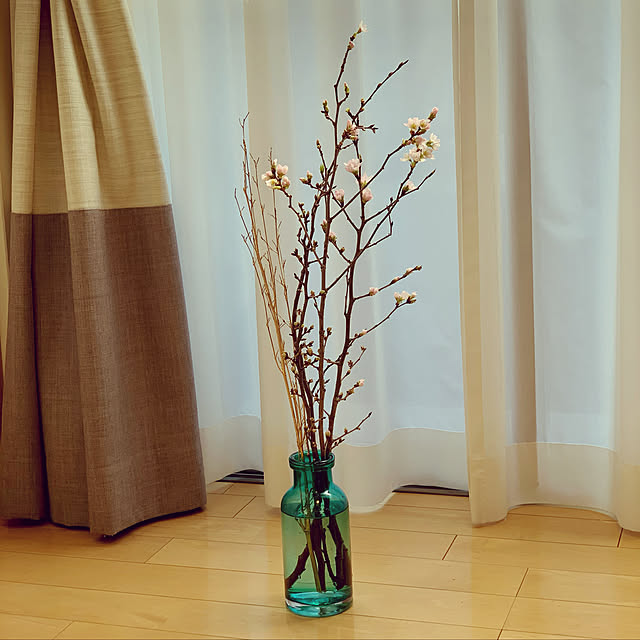 実例写真