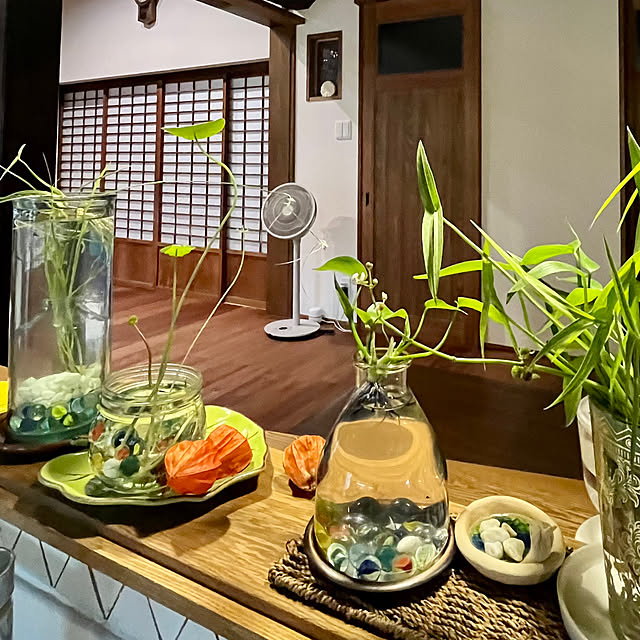 cotaさんの部屋