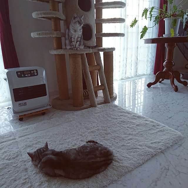machikomamaさんの実例写真