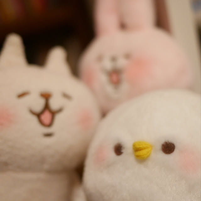 meowさんの実例写真