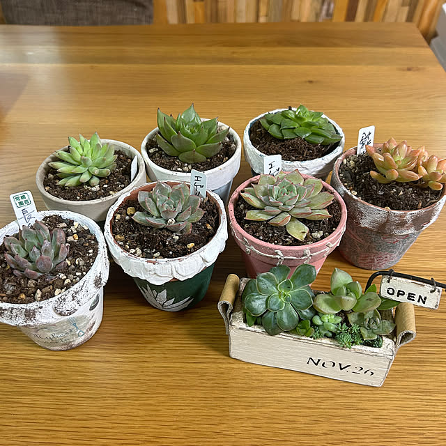 Fumiさんの部屋