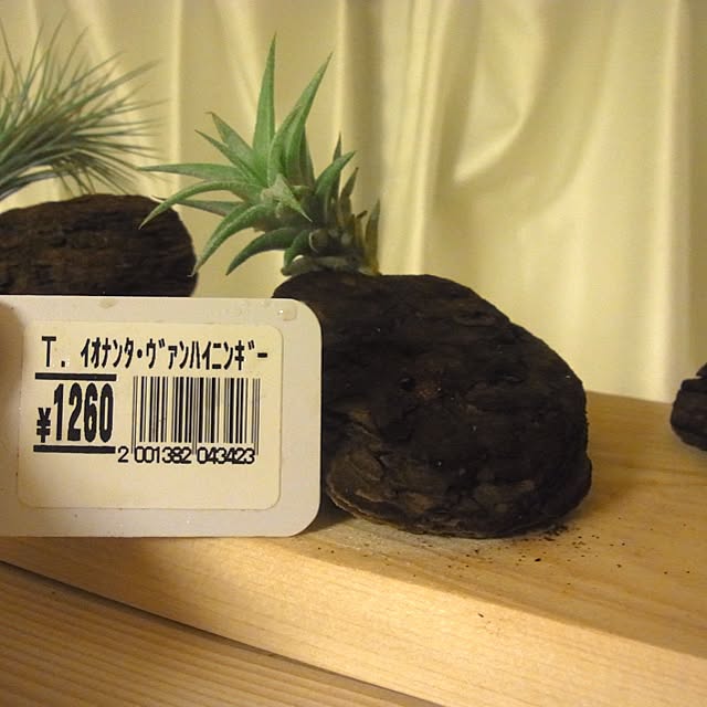 yandakoumutenさんの実例写真