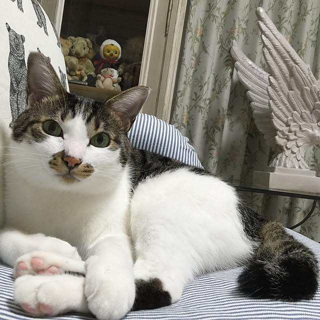 yuchiさんの実例写真