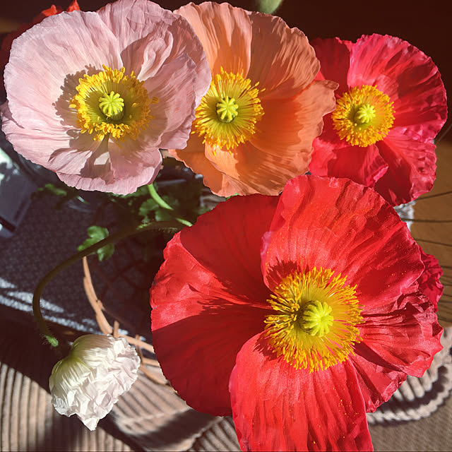 s.p.sunaoさんの実例写真
