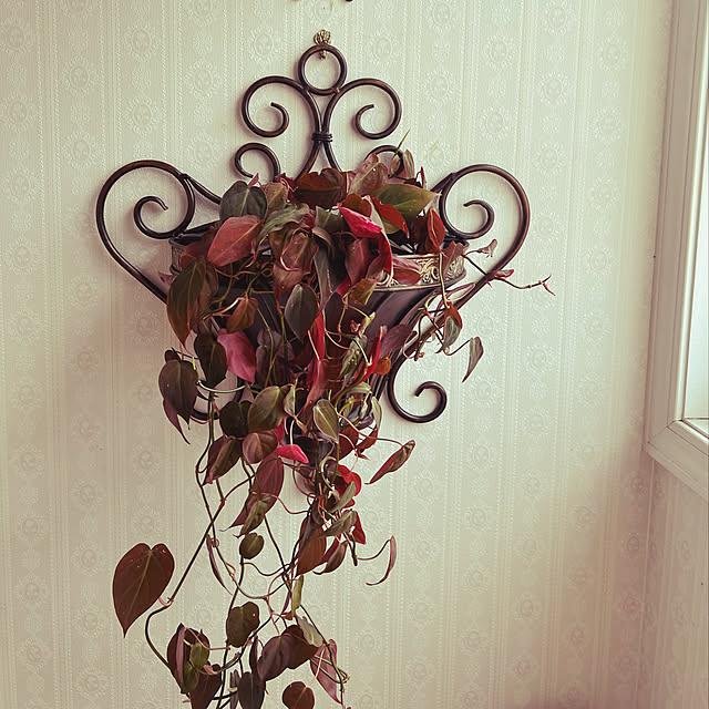 AYUKOさんの実例写真