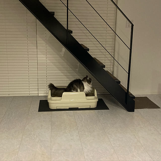 BelleCatさんの実例写真