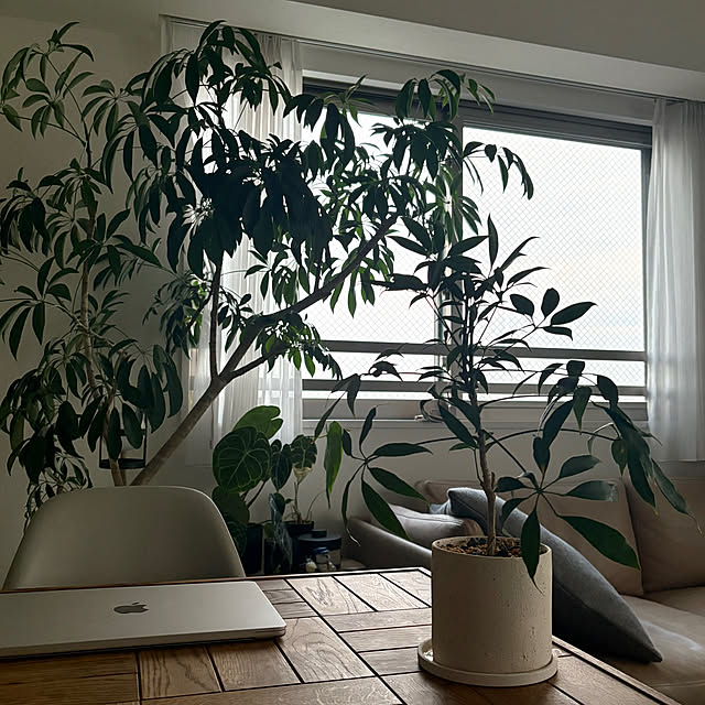 mumuさんの実例写真