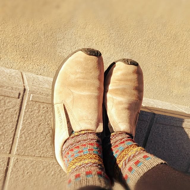 newさんの実例写真