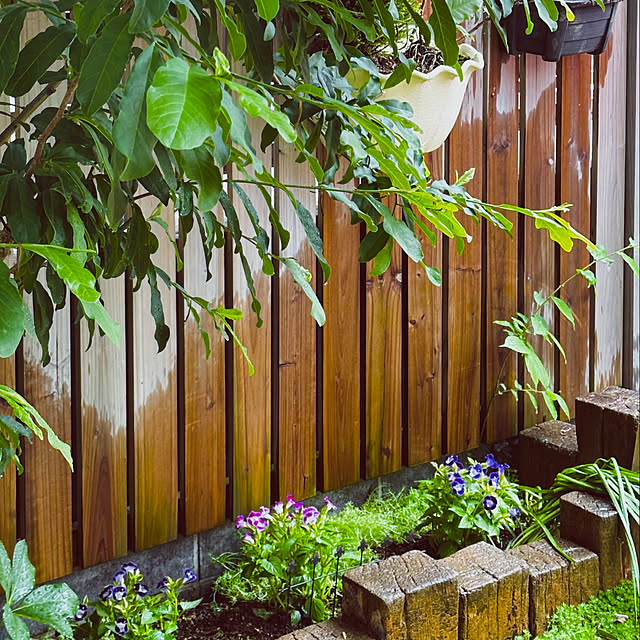 chacoさんの部屋