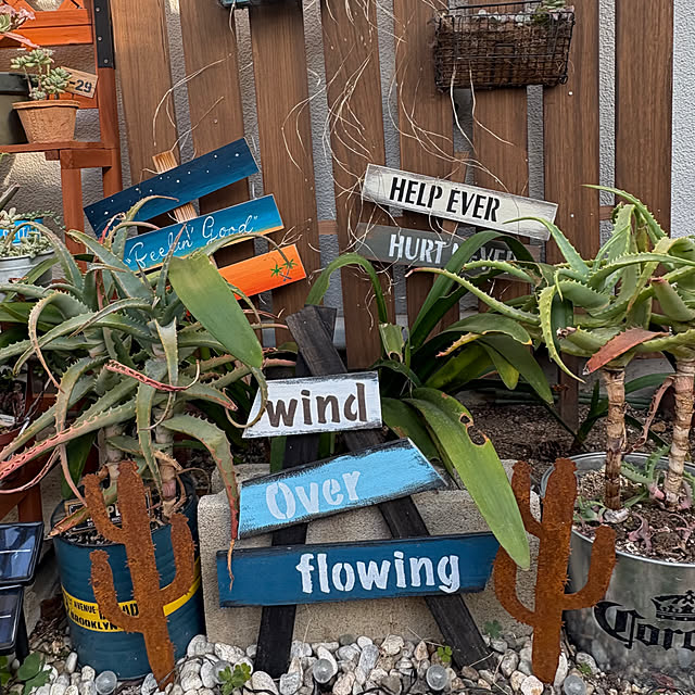 alohachikoさんの部屋