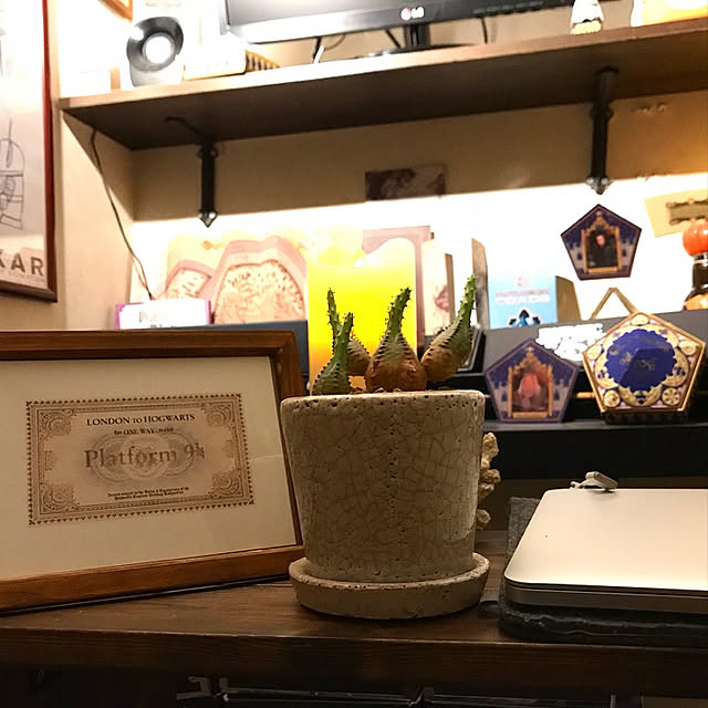 yu-daiさんの実例写真