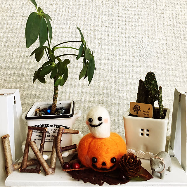 chilchilさんの実例写真